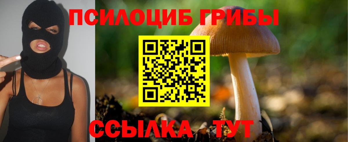 Галлюциногенные грибы прущие грибы  магазин    Иркутск  Вход с VPN  Галлюциногенные грибы мухоморы 